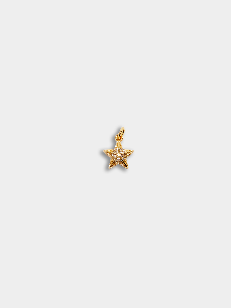 Side Charm / Cushion Star