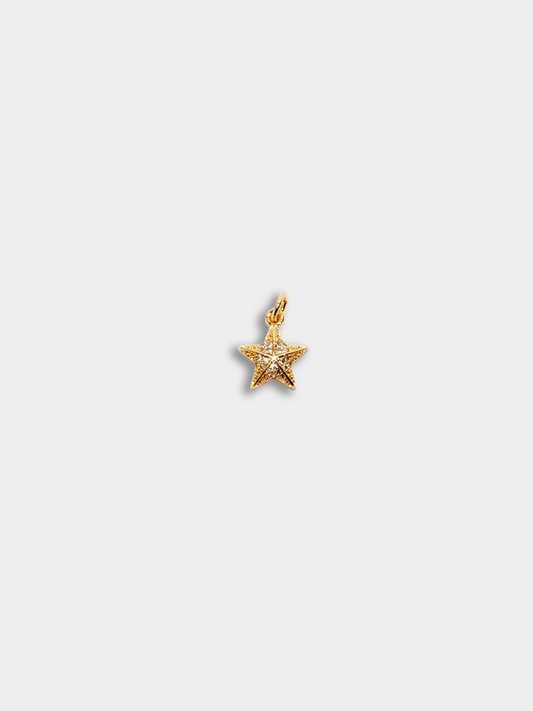 Side Charm / Cushion Star