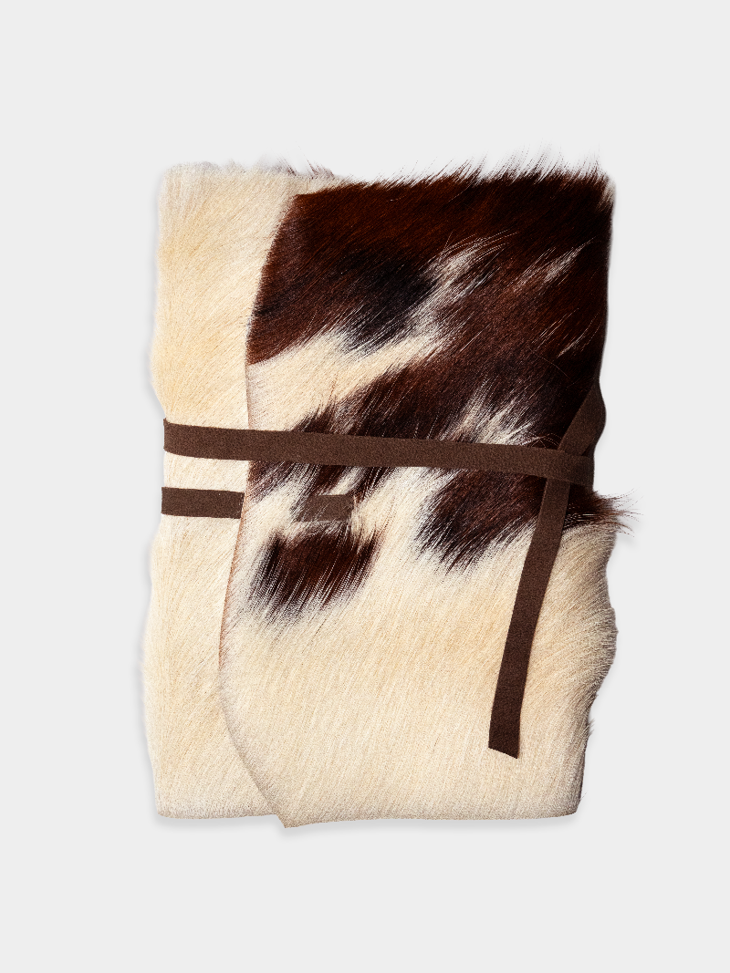 Memory Vessel / Pinto 08