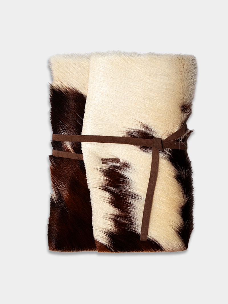 Memory Vessel / Pinto 09