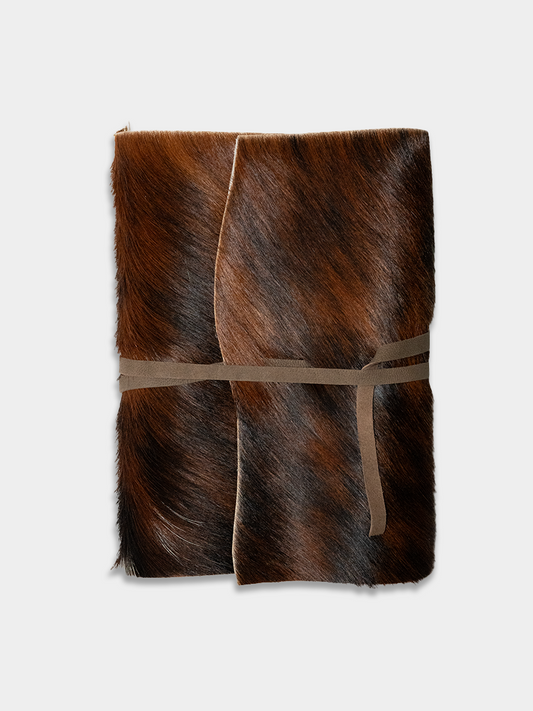 Memory Vessel / Pinto 10