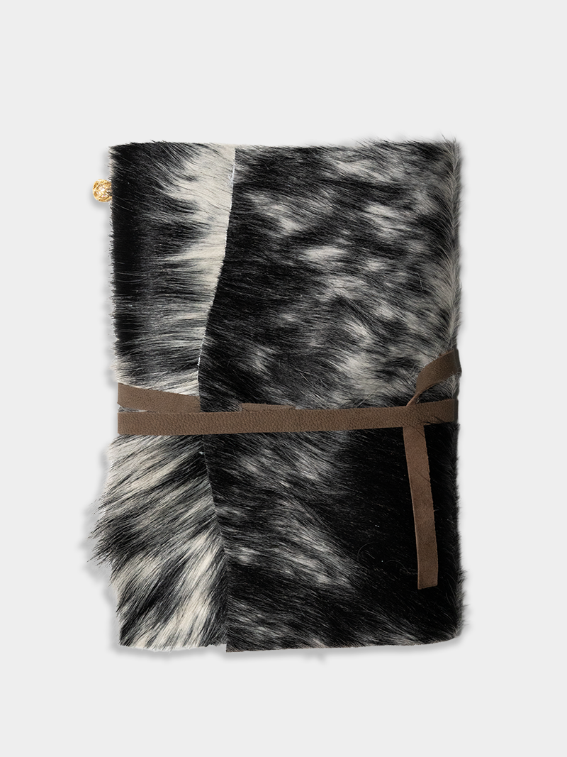 Memory Vessel / Appaloosa 04