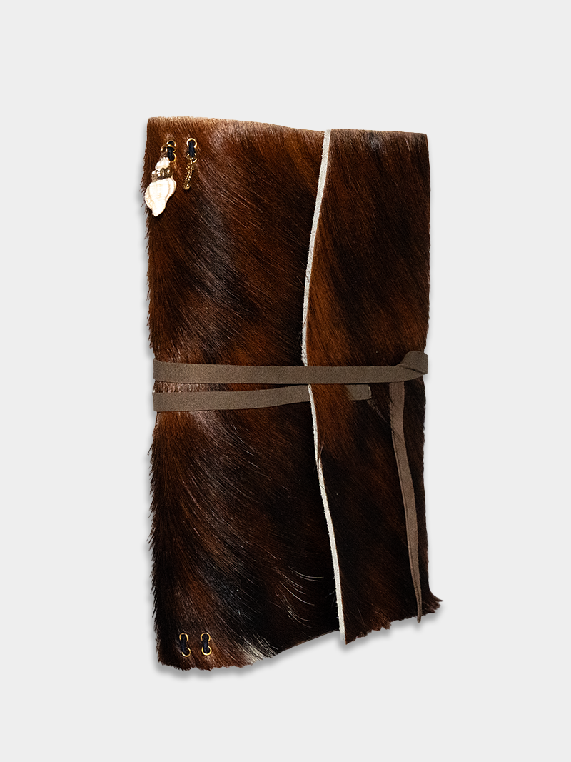 Memory Vessel / Pinto 10