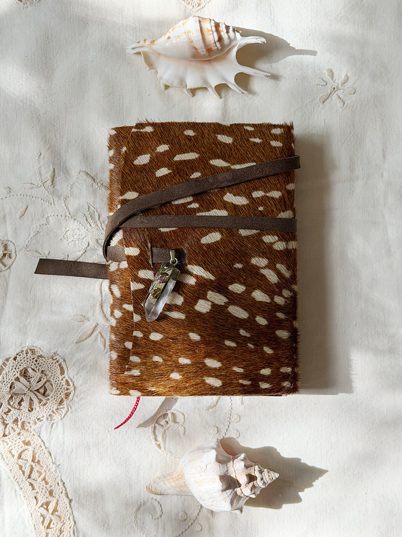 Memory Vessel / Fawn