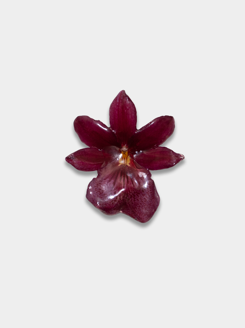 Orquídea / Talisman 01