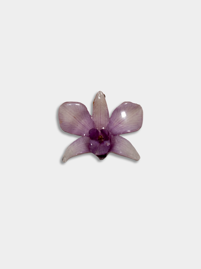 Orquídea / Talisman 13