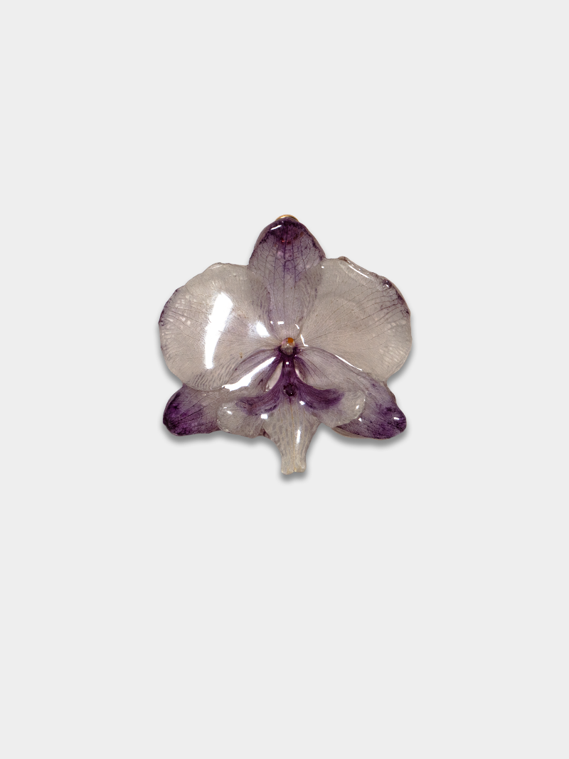 Orquídea / Talisman 17
