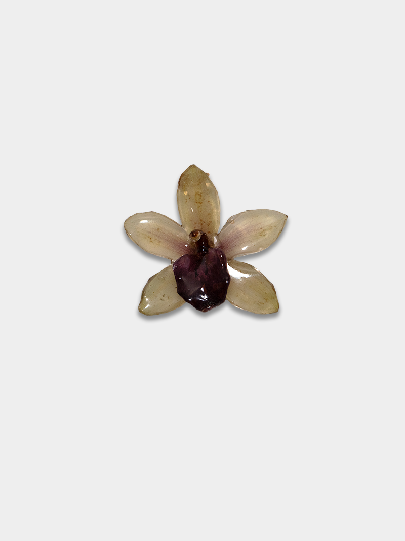 Orquídea / Talisman 18