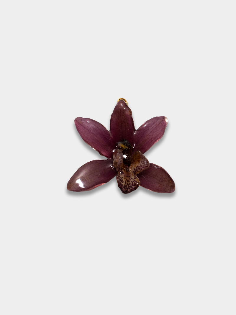 Orquídea / Talisman 03