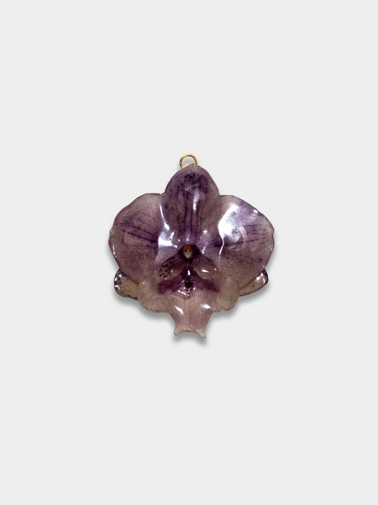 Orquídea / Talisman 04