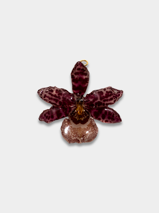 Orquídea / Talisman 05
