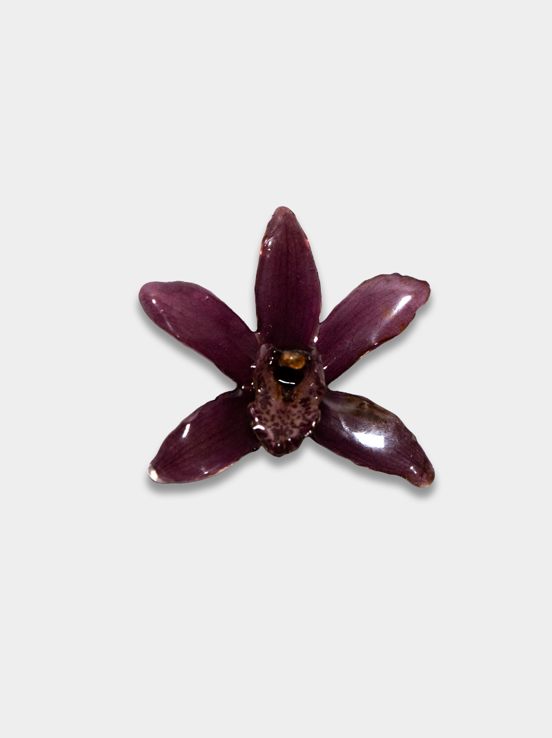 Orquídea / Talisman 06