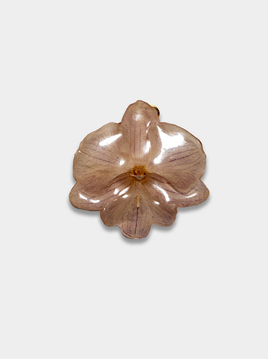 Orquídea / Talisman 07
