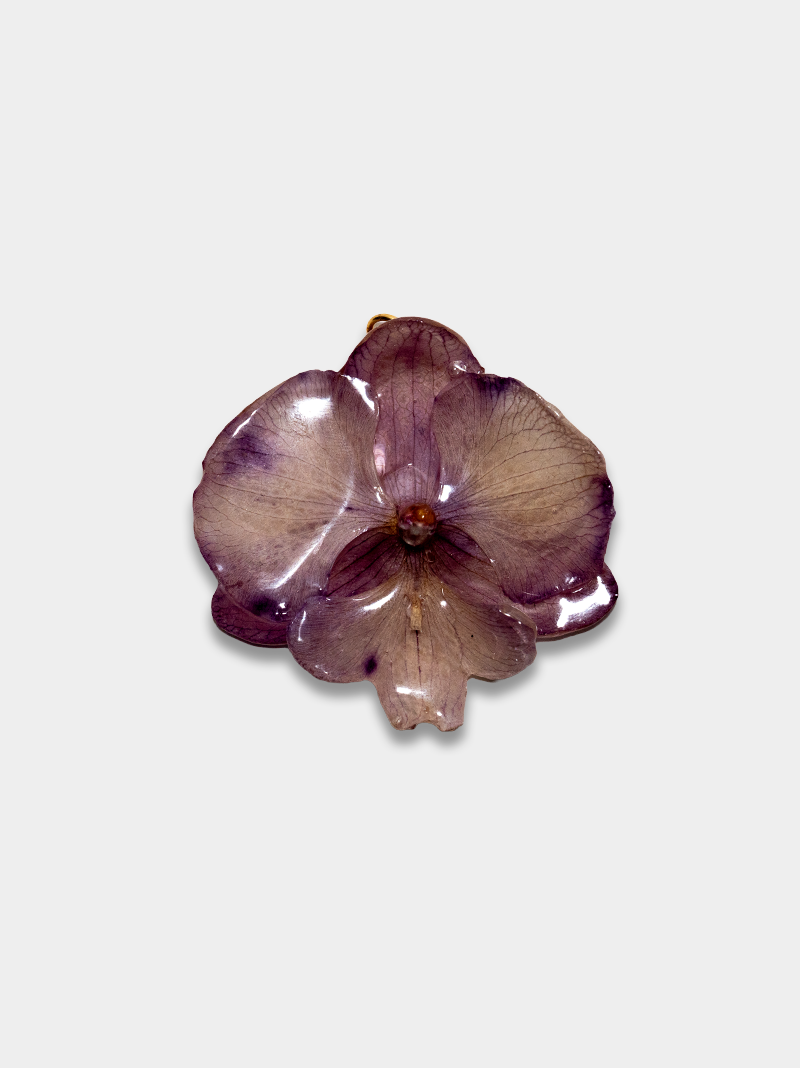 Orquídea / Talisman 09