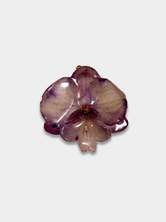 Orquídea / Talisman 09
