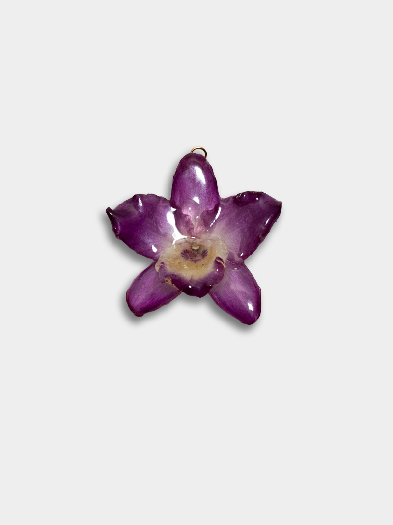 Orquídea / Talisman 19