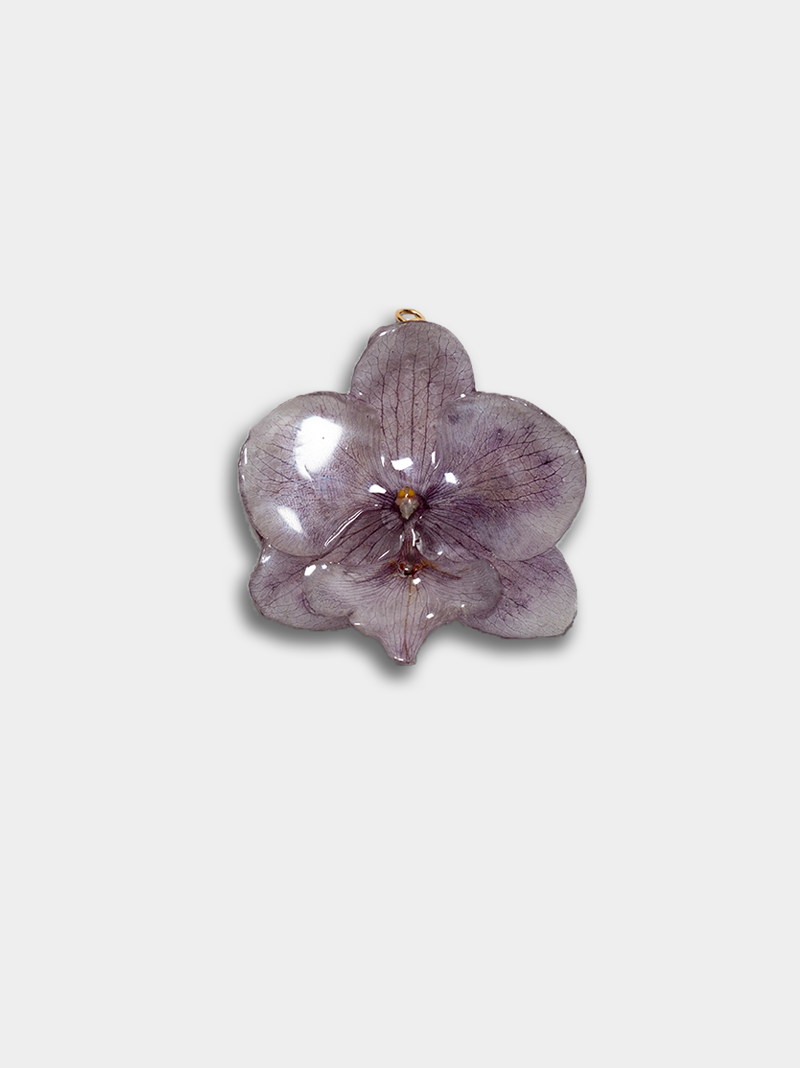 Orquídea / Talisman 20