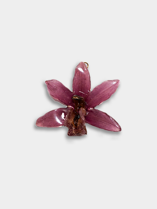 Orquídea / Talisman 21